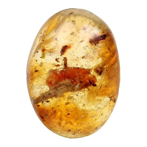 Amber Stone Oval Shape