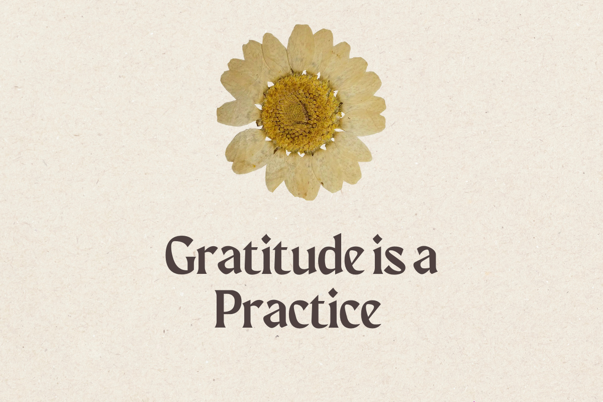 Gratitude is a Practice